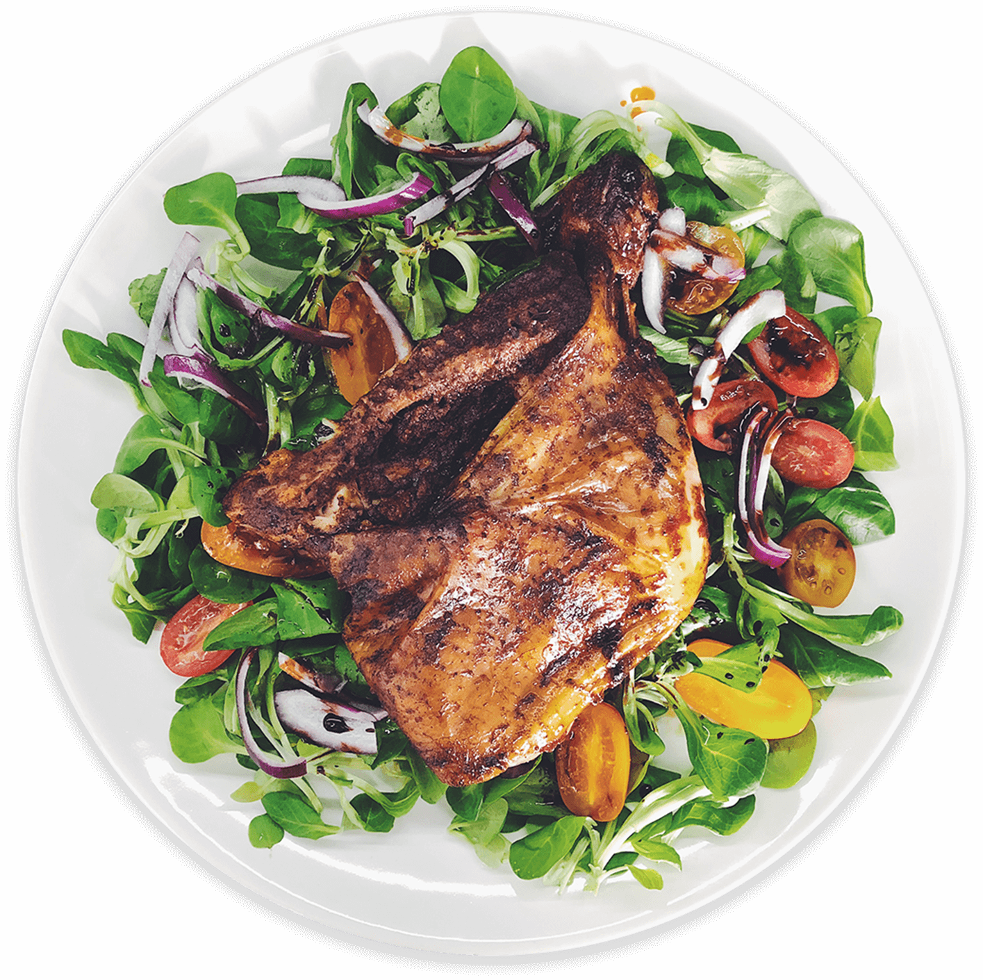 StockSnap_MLXGZMYW3B