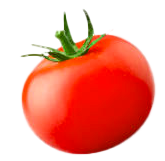tomate-2